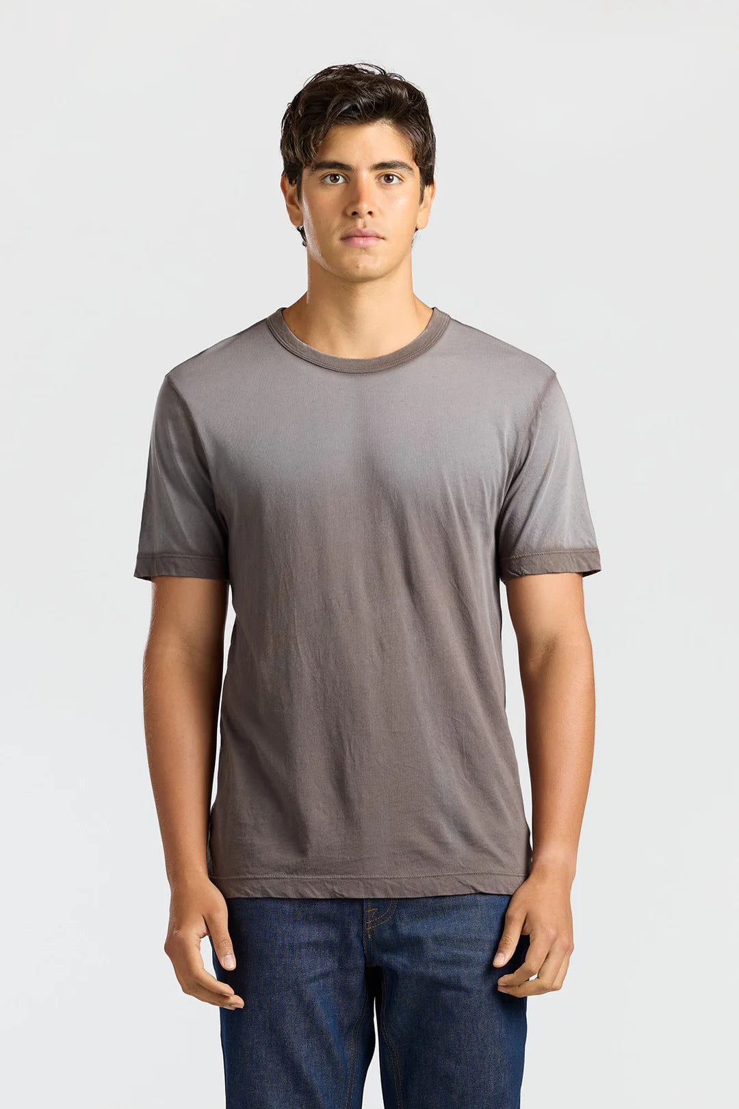 COTTON CITIZEN PRINCE TEE- STONE CAST